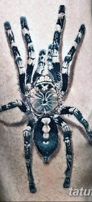 фото тату тарантул от 21.11.2017 №014 — tattoo tarantula — tatufoto.com