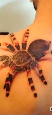 фото тату тарантул от 21.11.2017 №015 — tattoo tarantula — tatufoto.com