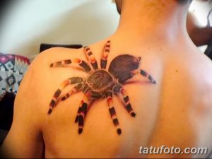 Фото тату паука на лопатке. Детализированный рисунок паука коричнево-красного цвета с полосками на лапах. Реалистичный стиль татуировки.