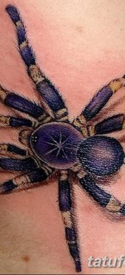 фото тату тарантул от 21.11.2017 №016 — tattoo tarantula — tatufoto.com