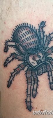 фото тату тарантул от 21.11.2017 №017 — tattoo tarantula — tatufoto.com