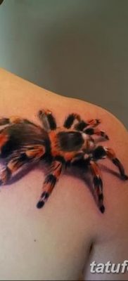 фото тату тарантул от 21.11.2017 №020 — tattoo tarantula — tatufoto.com