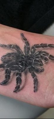 фото тату тарантул от 21.11.2017 №021 — tattoo tarantula — tatufoto.com