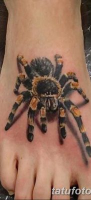 фото тату тарантул от 21.11.2017 №022 — tattoo tarantula — tatufoto.com