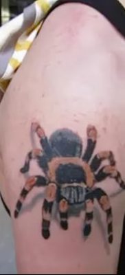 фото тату тарантул от 21.11.2017 №023 — tattoo tarantula — tatufoto.com