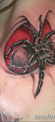 фото тату тарантул от 21.11.2017 №025 — tattoo tarantula — tatufoto.com