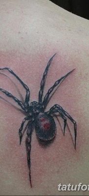 фото тату тарантул от 21.11.2017 №026 — tattoo tarantula — tatufoto.com
