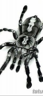 фото тату тарантул от 21.11.2017 №027 — tattoo tarantula — tatufoto.com