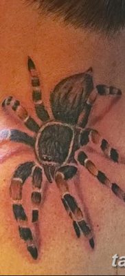 фото тату тарантул от 21.11.2017 №028 — tattoo tarantula — tatufoto.com