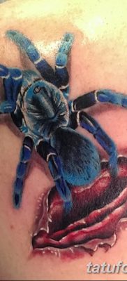 фото тату тарантул от 21.11.2017 №029 — tattoo tarantula — tatufoto.com