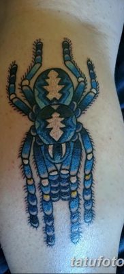 фото тату тарантул от 21.11.2017 №030 — tattoo tarantula — tatufoto.com