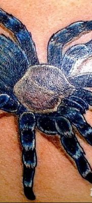 фото тату тарантул от 21.11.2017 №031 — tattoo tarantula — tatufoto.com