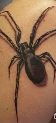фото тату тарантул от 21.11.2017 №032 — tattoo tarantula — tatufoto.com