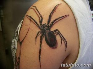 Фото тату классического черного паука на плече. Детализированный рисунок с акцентом на форму и текстуру, выполненный опытным мастером.