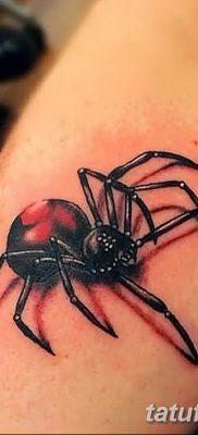 фото тату тарантул от 21.11.2017 №033 — tattoo tarantula — tatufoto.com
