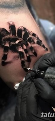 фото тату тарантул от 21.11.2017 №034 — tattoo tarantula — tatufoto.com