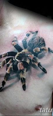 фото тату тарантул от 21.11.2017 №035 — tattoo tarantula — tatufoto.com