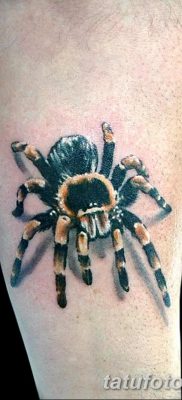 фото тату тарантул от 21.11.2017 №036 — tattoo tarantula — tatufoto.com