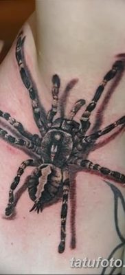 фото тату тарантул от 21.11.2017 №037 — tattoo tarantula — tatufoto.com