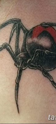 фото тату тарантул от 21.11.2017 №038 — tattoo tarantula — tatufoto.com