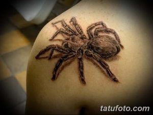 Фото тату классического паука на плече. Детализированный рисунок с использованием коричневых и серых оттенков. Подходит для тех, кто ценит традиционные татуировки.