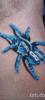 фото тату тарантул от 21.11.2017 №041 — tattoo tarantula — tatufoto.com