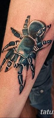 фото тату тарантул от 21.11.2017 №042 — tattoo tarantula — tatufoto.com