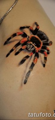 фото тату тарантул от 21.11.2017 №044 — tattoo tarantula — tatufoto.com