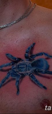 фото тату тарантул от 21.11.2017 №045 — tattoo tarantula — tatufoto.com