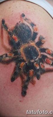 фото тату тарантул от 21.11.2017 №047 — tattoo tarantula — tatufoto.com