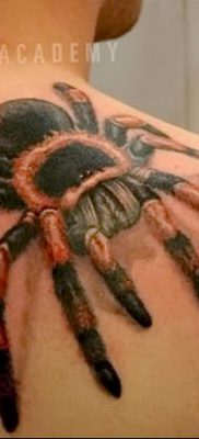 фото тату тарантул от 21.11.2017 №048 — tattoo tarantula — tatufoto.com