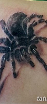 фото тату тарантул от 21.11.2017 №049 — tattoo tarantula — tatufoto.com