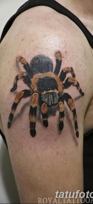 фото тату тарантул от 21.11.2017 №050 — tattoo tarantula — tatufoto.com
