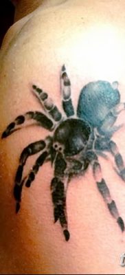 фото тату тарантул от 21.11.2017 №051 — tattoo tarantula — tatufoto.com