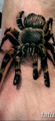 фото тату тарантул от 21.11.2017 №053 — tattoo tarantula — tatufoto.com
