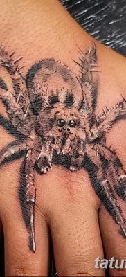 фото тату тарантул от 21.11.2017 №054 — tattoo tarantula — tatufoto.com