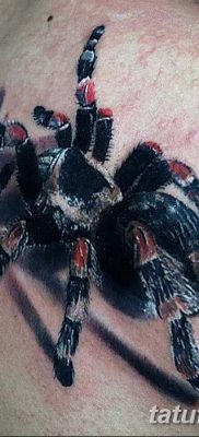 фото тату тарантул от 21.11.2017 №055 — tattoo tarantula — tatufoto.com