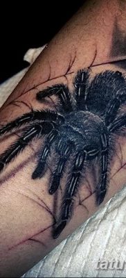 фото тату тарантул от 21.11.2017 №056 — tattoo tarantula — tatufoto.com