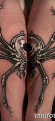 фото тату тарантул от 21.11.2017 №057 — tattoo tarantula — tatufoto.com