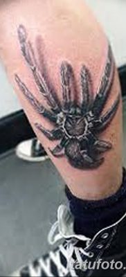 фото тату тарантул от 21.11.2017 №058 — tattoo tarantula — tatufoto.com