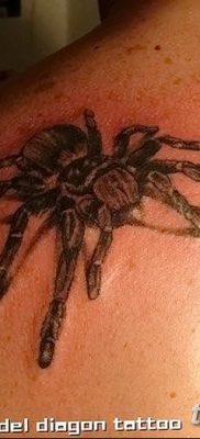фото тату тарантул от 21.11.2017 №059 — tattoo tarantula — tatufoto.com