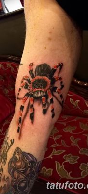 фото тату тарантул от 21.11.2017 №060 — tattoo tarantula — tatufoto.com