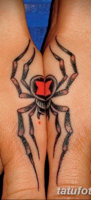 фото тату тарантул от 21.11.2017 №063 — tattoo tarantula — tatufoto.com