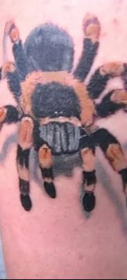 фото тату тарантул от 21.11.2017 №064 — tattoo tarantula — tatufoto.com