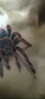 фото тату тарантул от 21.11.2017 №065 — tattoo tarantula — tatufoto.com