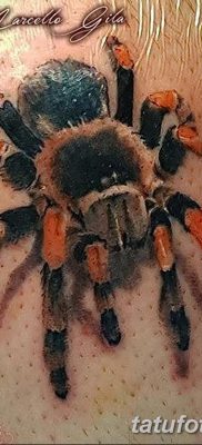 фото тату тарантул от 21.11.2017 №067 — tattoo tarantula — tatufoto.com