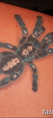 фото тату тарантул от 21.11.2017 №068 — tattoo tarantula — tatufoto.com