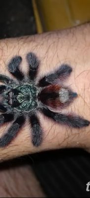 фото тату тарантул от 21.11.2017 №070 — tattoo tarantula — tatufoto.com