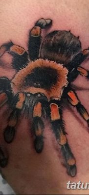 фото тату тарантул от 21.11.2017 №072 — tattoo tarantula — tatufoto.com