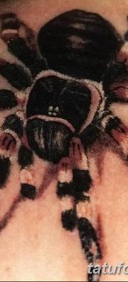фото тату тарантул от 21.11.2017 №074 — tattoo tarantula — tatufoto.com